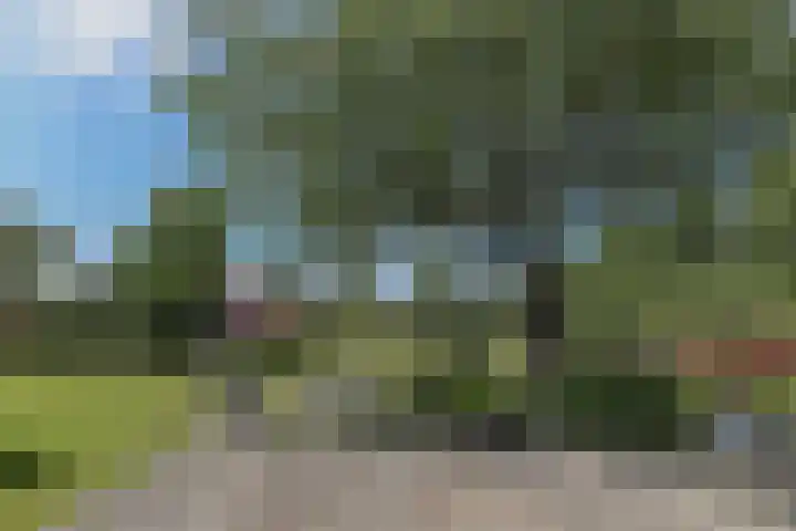 Kerkbuurt 24 Wijdenes thumbnail 53