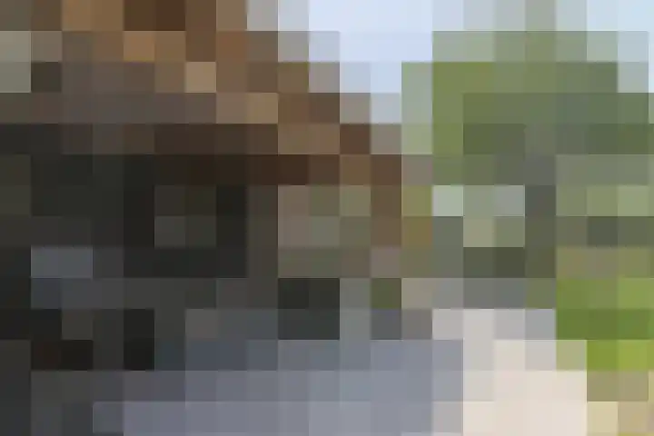 Kerkbuurt 24 Wijdenes thumbnail 58