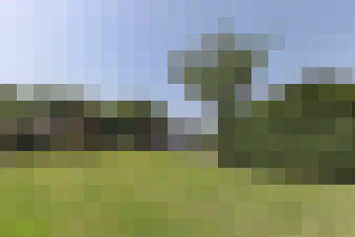 Kerkbuurt 24 Wijdenes thumbnail 59