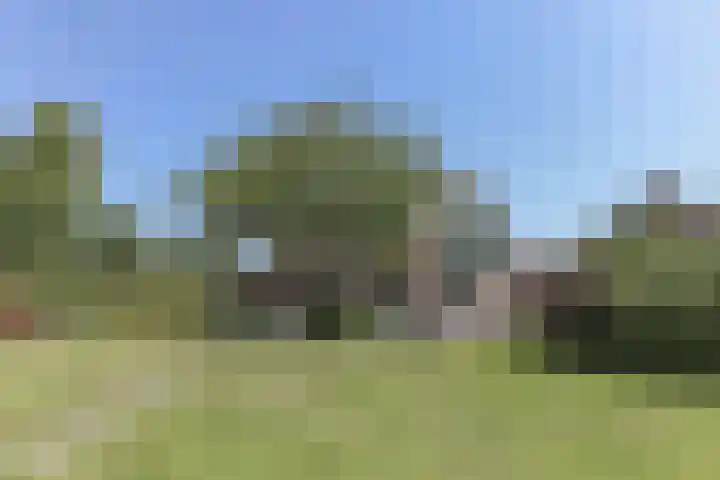 Kerkbuurt 24 Wijdenes thumbnail 6