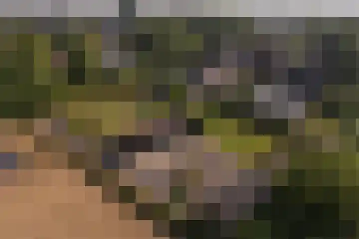 Kerkbuurt 24 Wijdenes thumbnail 64
