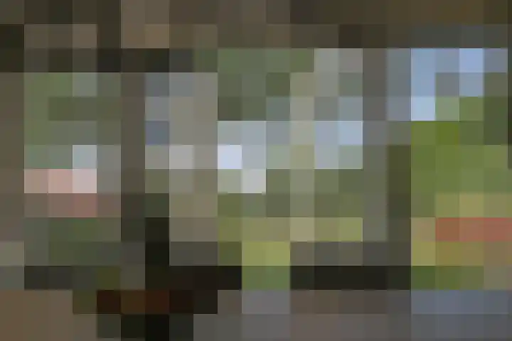 Kerkbuurt 24 Wijdenes thumbnail 9
