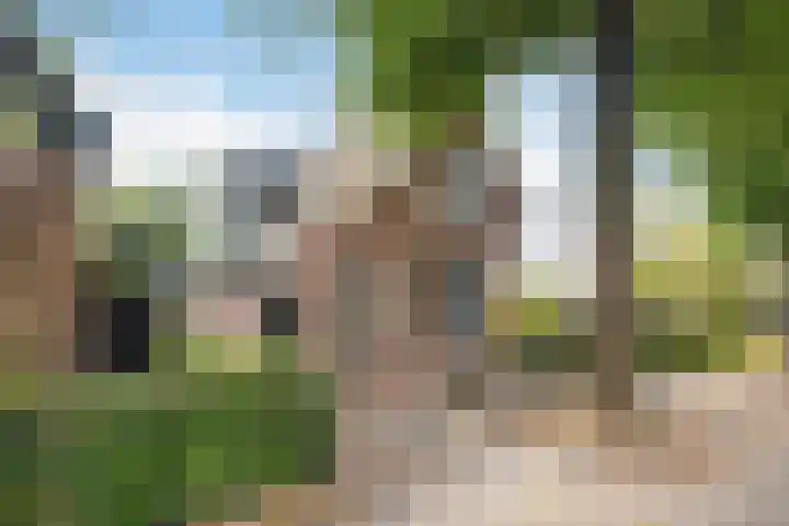 Kerkbuurt 28 Suwâld thumbnail 12