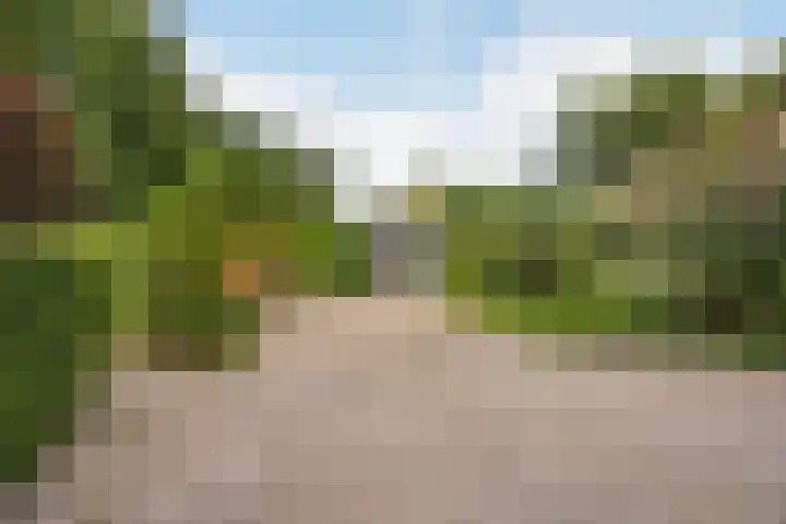 Kerkbuurt 28 Suwâld thumbnail 62