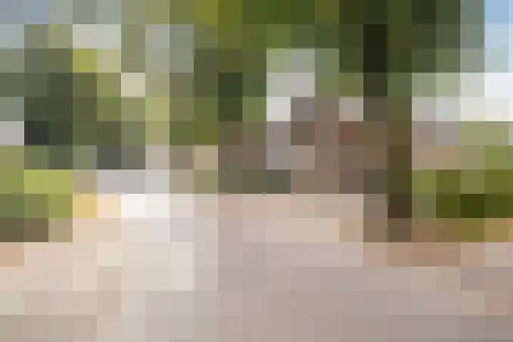 Kerkbuurt 28 Suwâld thumbnail 66