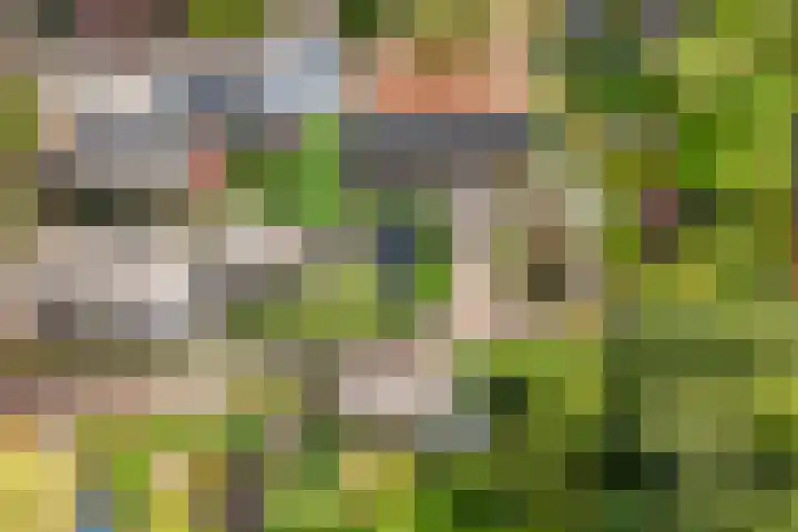 Kerkbuurt 28 Suwâld thumbnail 7