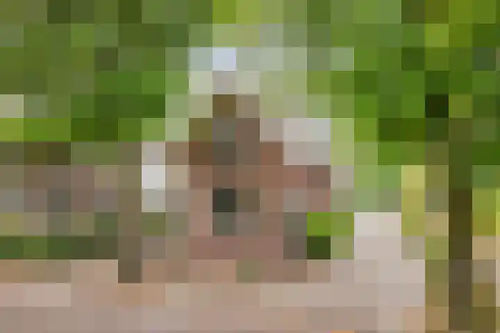 Kerkbuurt 28 Suwâld thumbnail 74