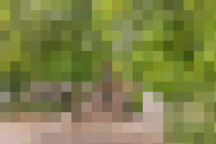 Kerkbuurt 28 Suwâld thumbnail 8