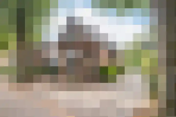 Kerkbuurt 28 Suwâld thumbnail 9