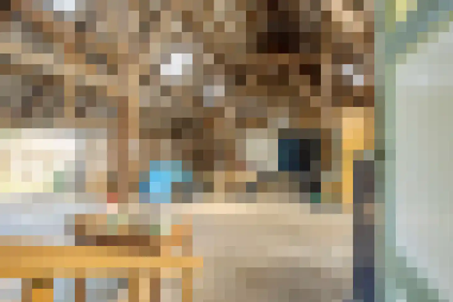 Kerkbuurt 4 Blankenham thumbnail 13