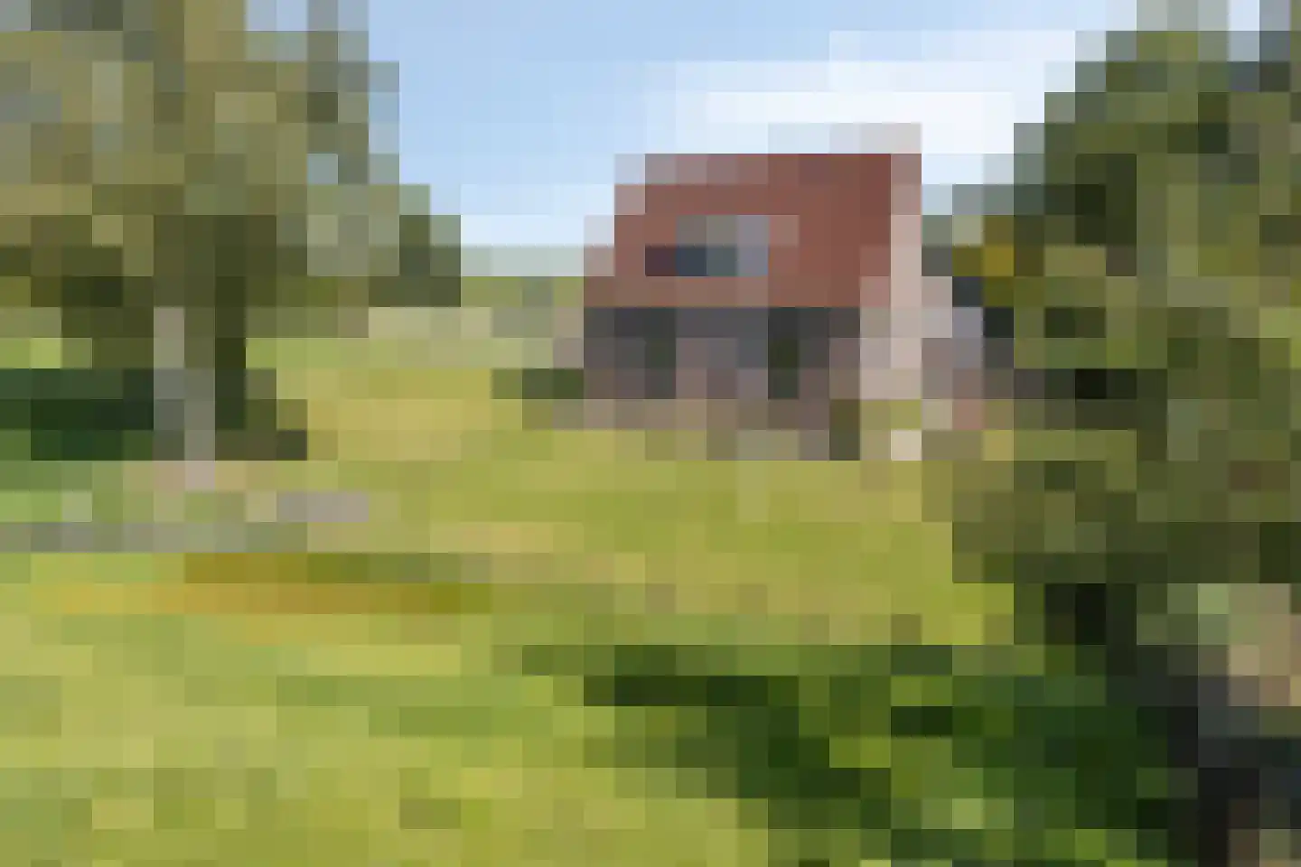 Kerkbuurt 4 Blankenham thumbnail 34