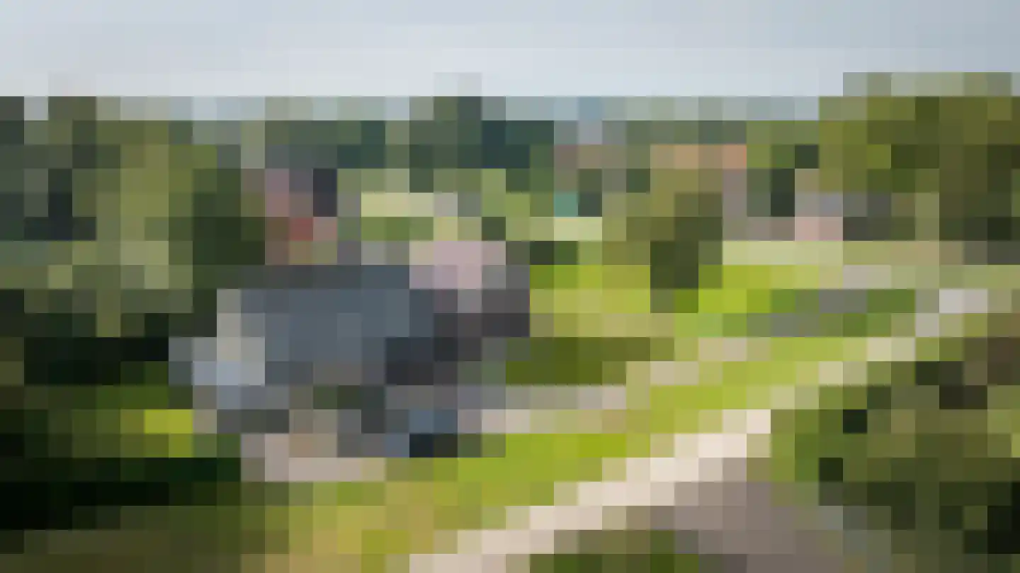 Kerkbuurt 4 Blankenham thumbnail 43