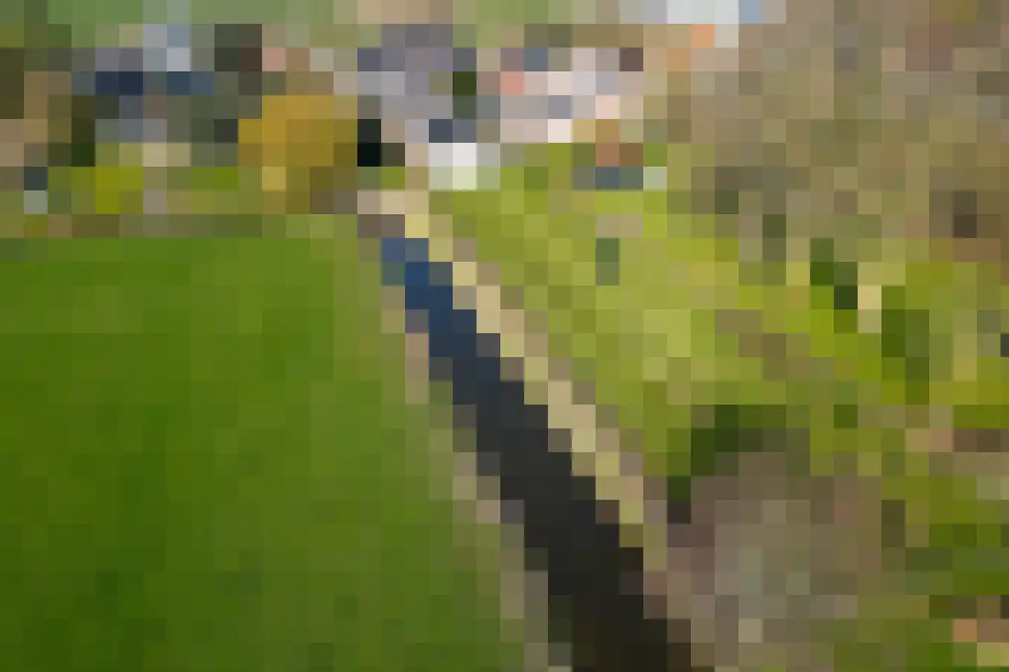 Kerkbuurt 45 Wijdenes thumbnail 4