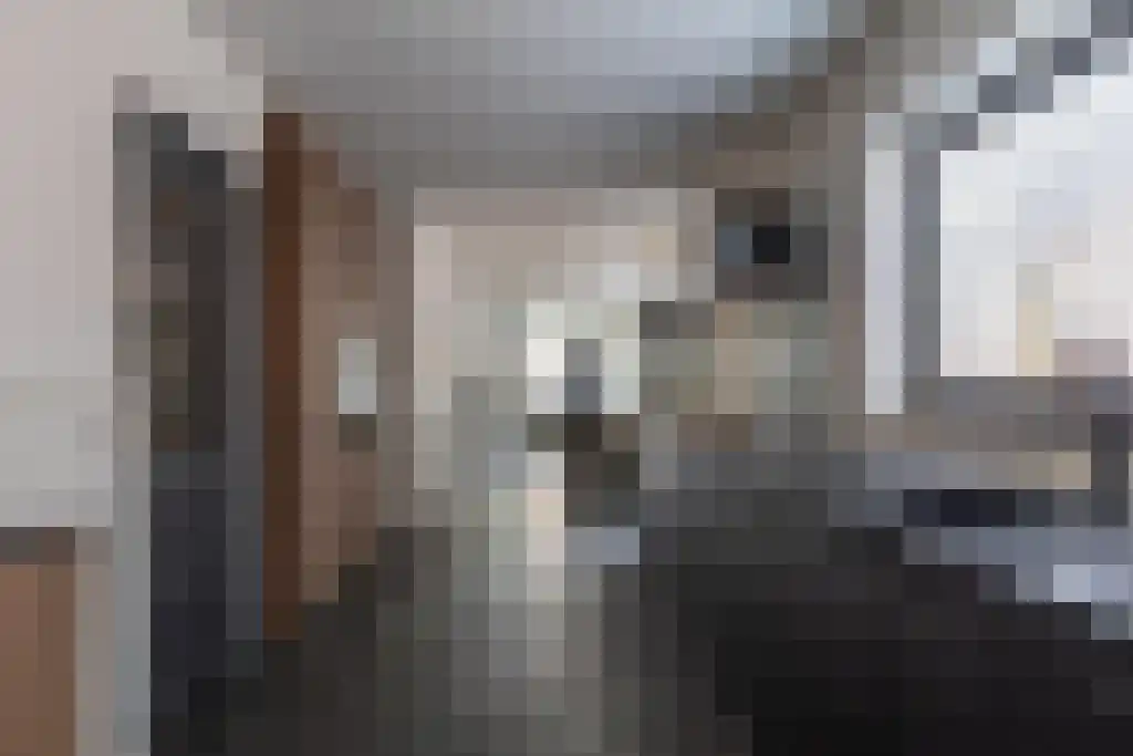 Kerkbuurt 69 Wijdenes thumbnail 19