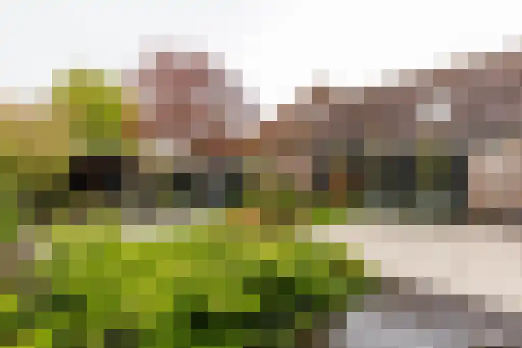 Kerkbuurt 69 Wijdenes thumbnail 78