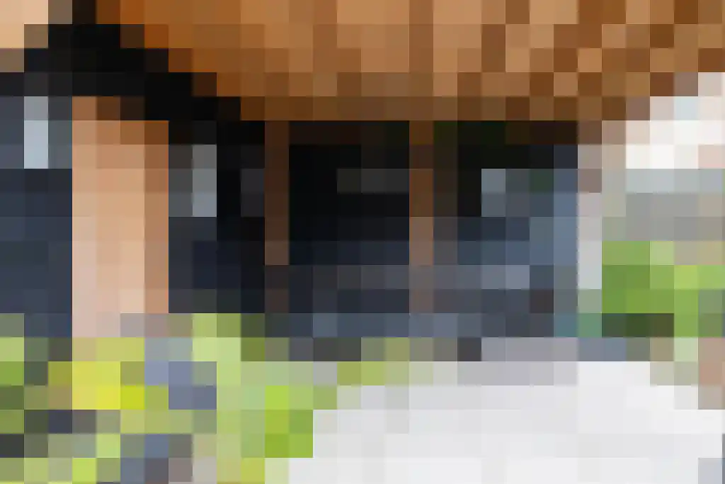 Kerkbuurt 69 Wijdenes thumbnail 83