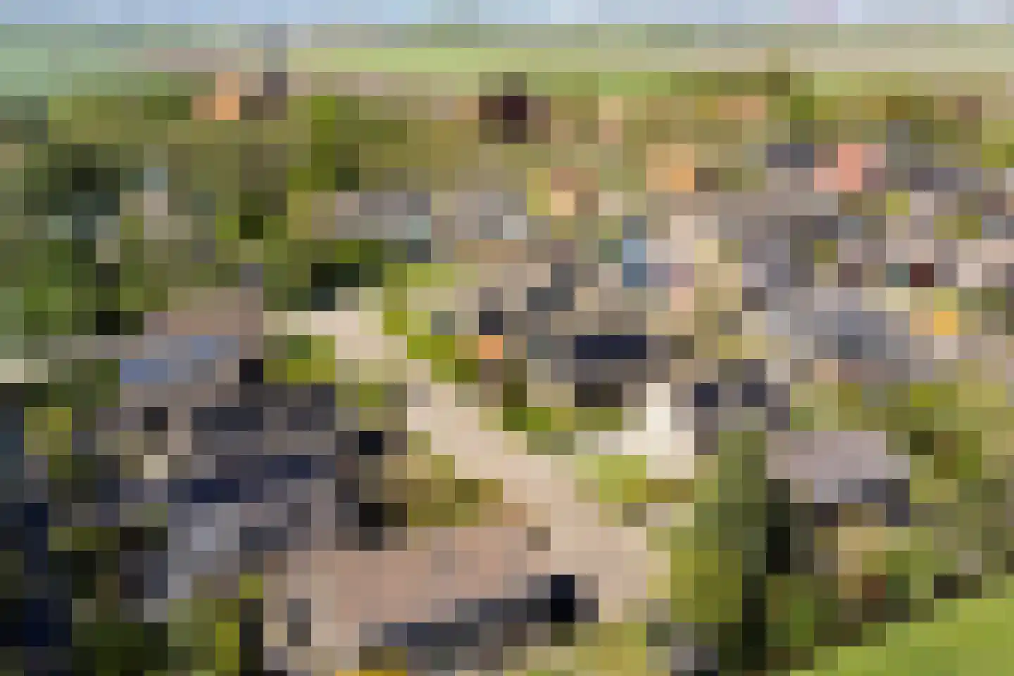 Kerkbuurt 7 Zuidschermer thumbnail 33
