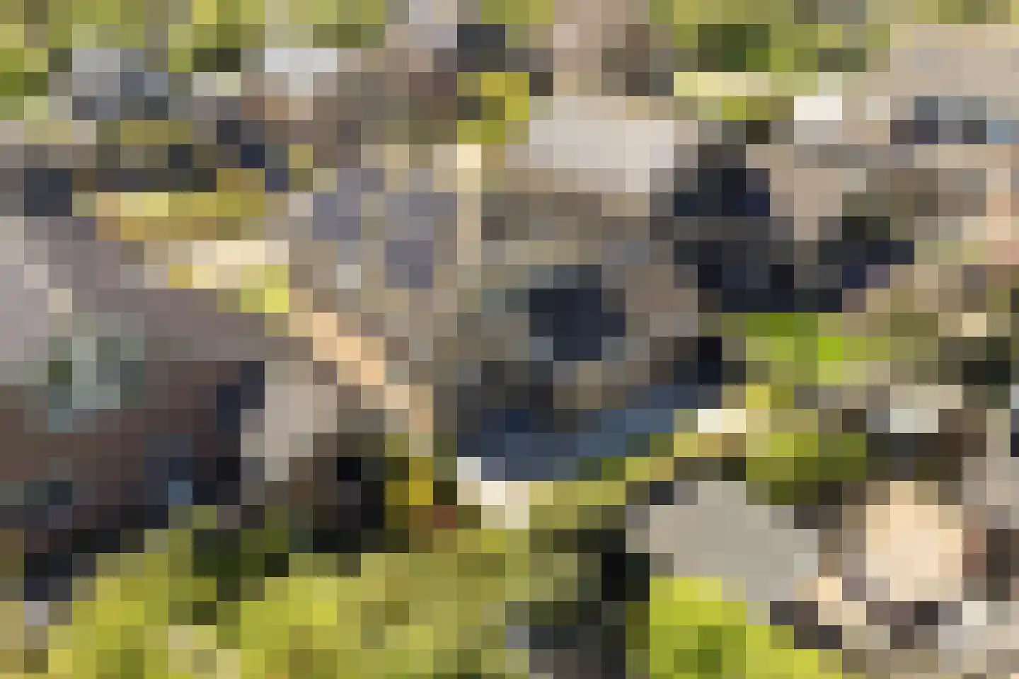 Kerkbuurt 7 Zuidschermer thumbnail 35