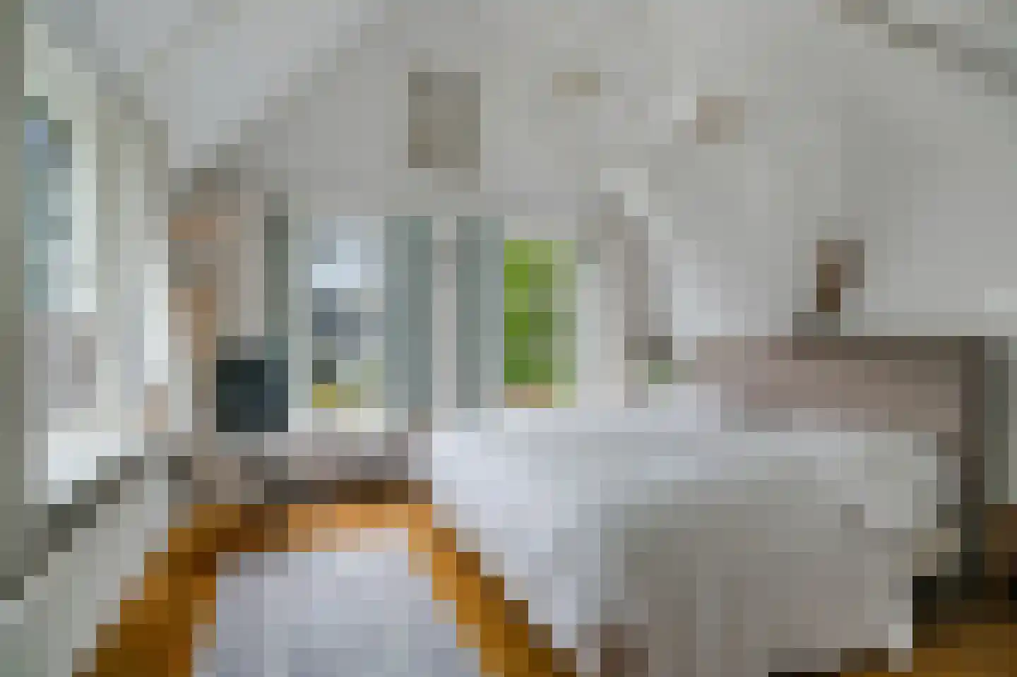 Kerkbuurt 8 Wijdenes thumbnail 17