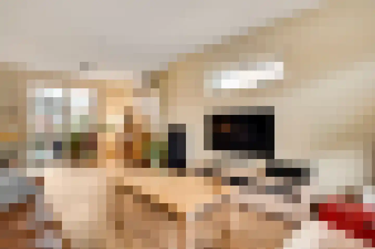 Kerkdelstraat 10 Slenaken thumbnail 12