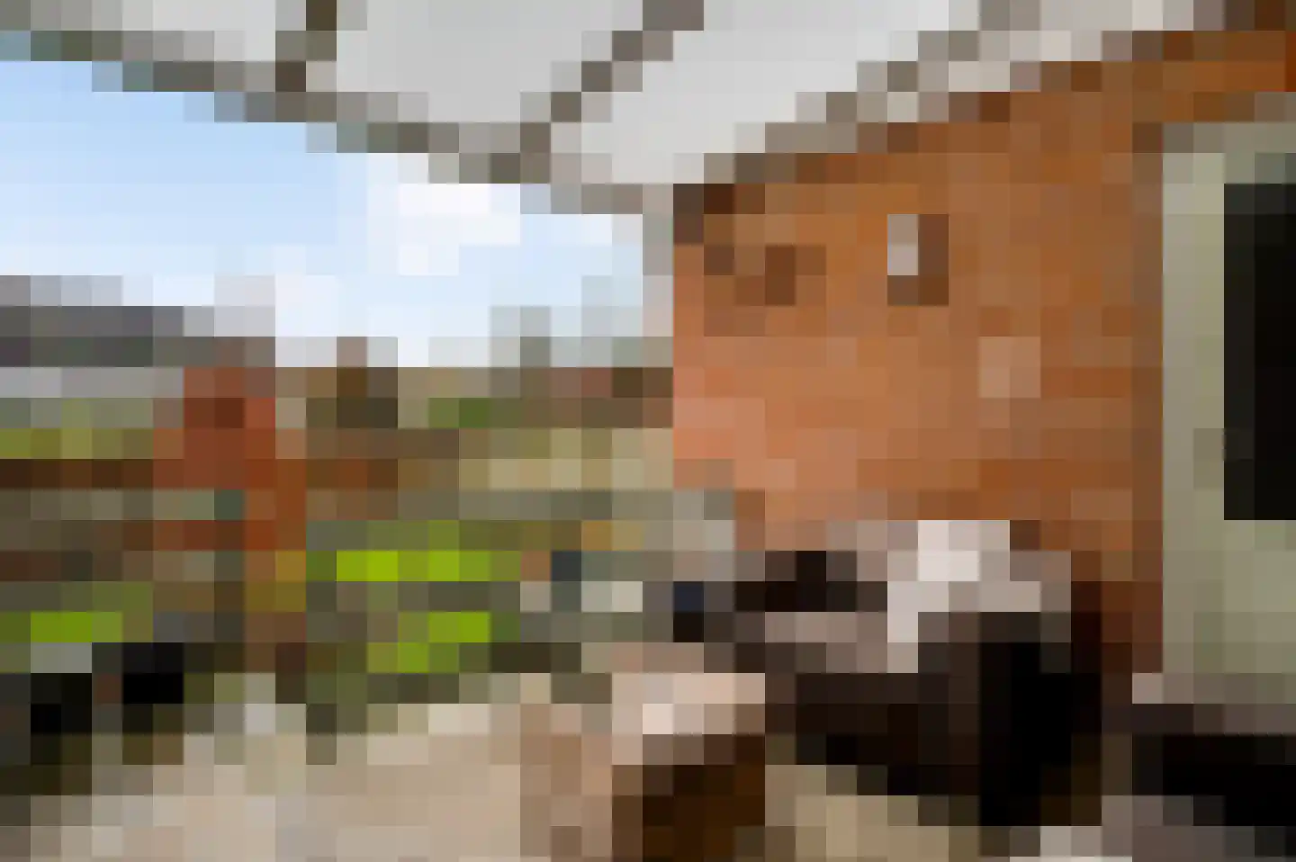 Kerkdelstraat 10 Slenaken thumbnail 19