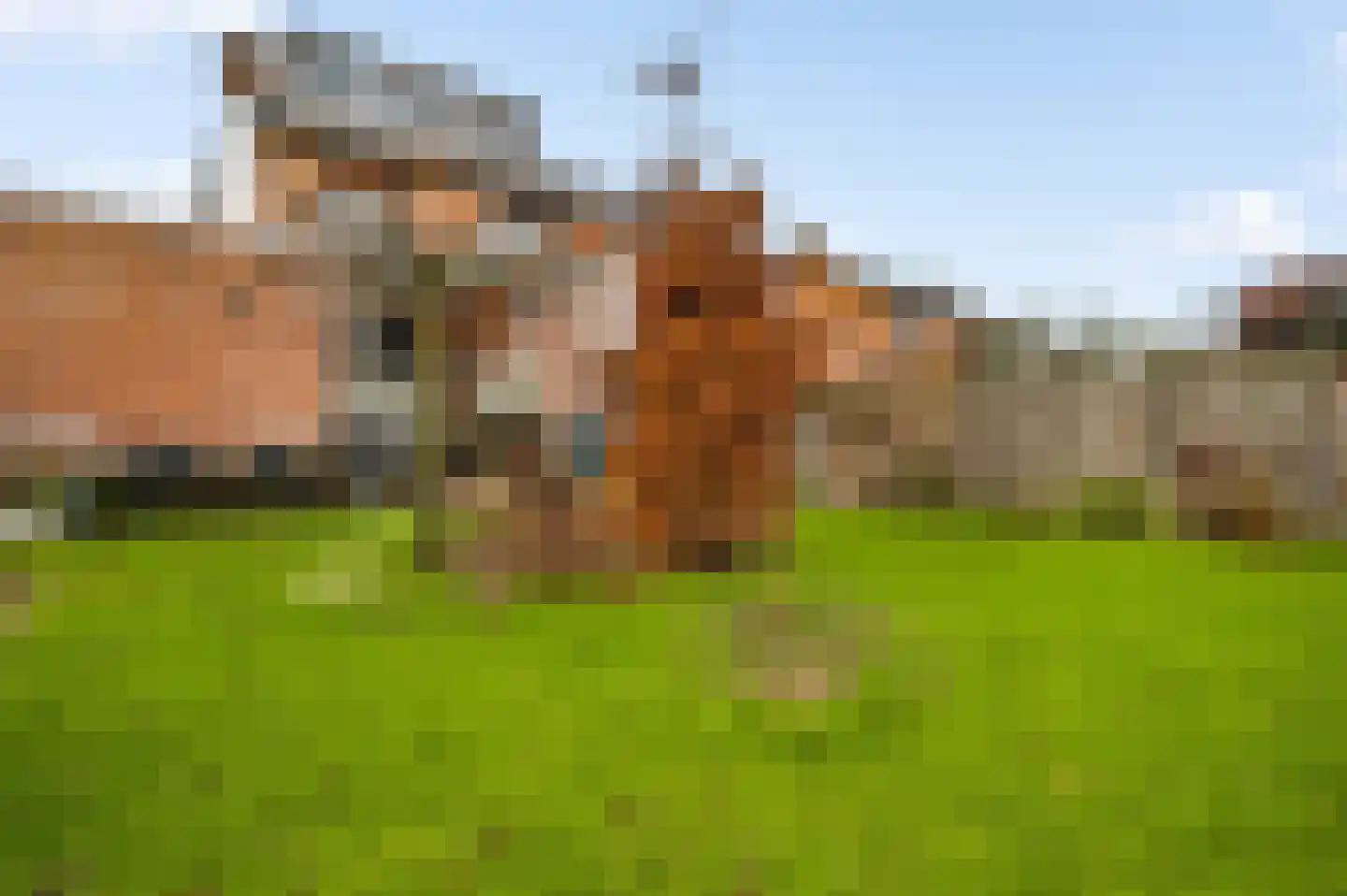 Kerkdelstraat 10 Slenaken thumbnail 24