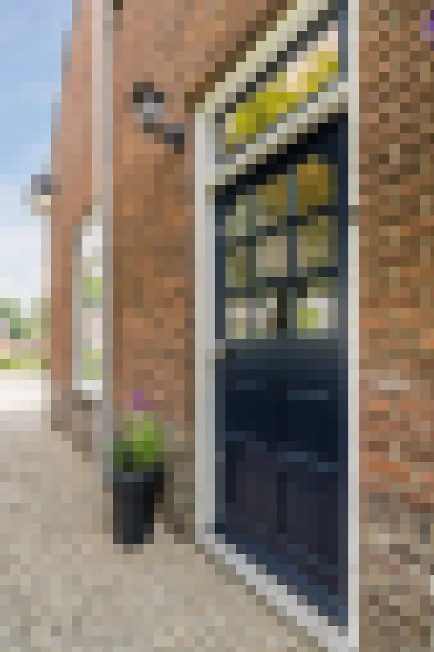 Kerkdijk 107 Westbroek thumbnail 6