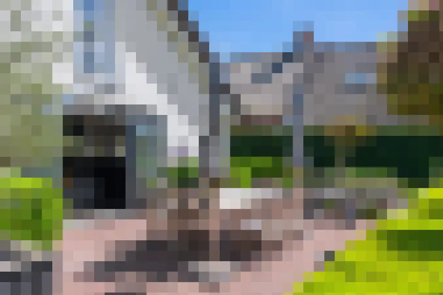 Kerkdijk 111 Westbroek thumbnail 28