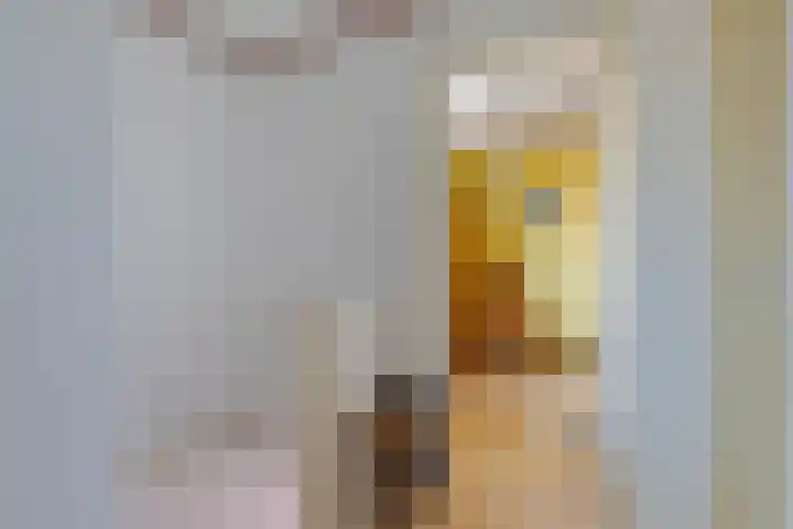 Kerkdijk 14 B Hooge Zwaluwe thumbnail 13