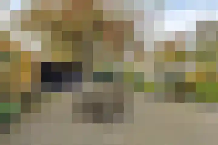 Kerkdijk 14 B Hooge Zwaluwe thumbnail 28