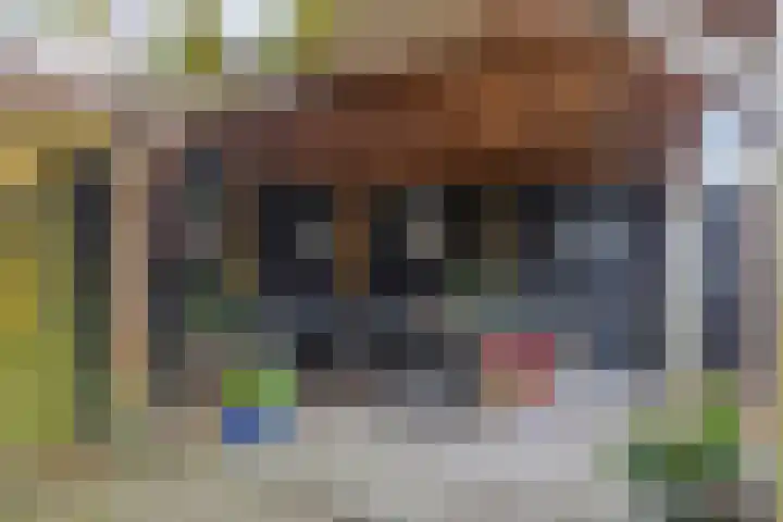 Kerkdijk 14 B Hooge Zwaluwe thumbnail 29