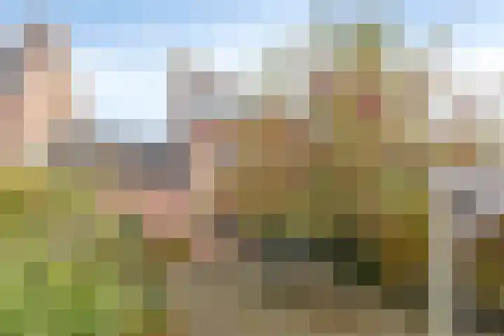Kerkdijk 14 B Hooge Zwaluwe thumbnail 30