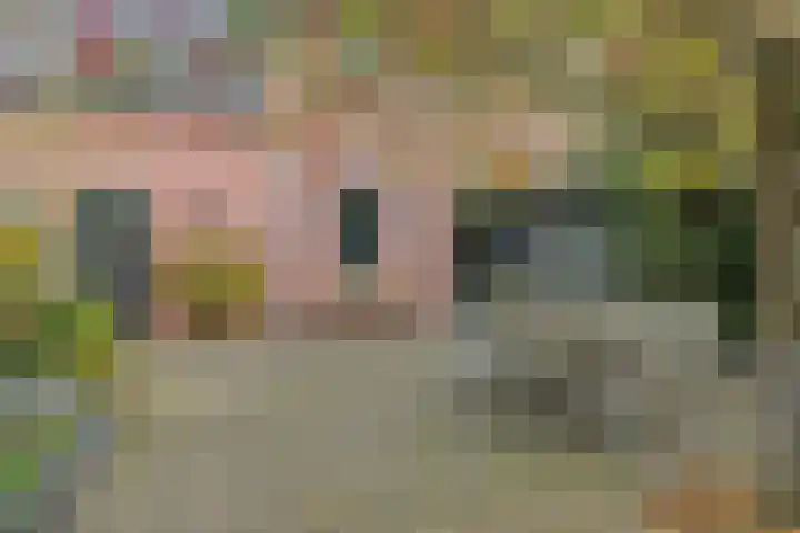 Kerkdijk 14 B Hooge Zwaluwe thumbnail 31