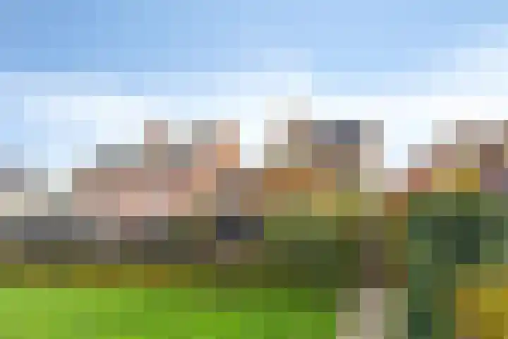 Kerkdijk 14 B Hooge Zwaluwe thumbnail 32