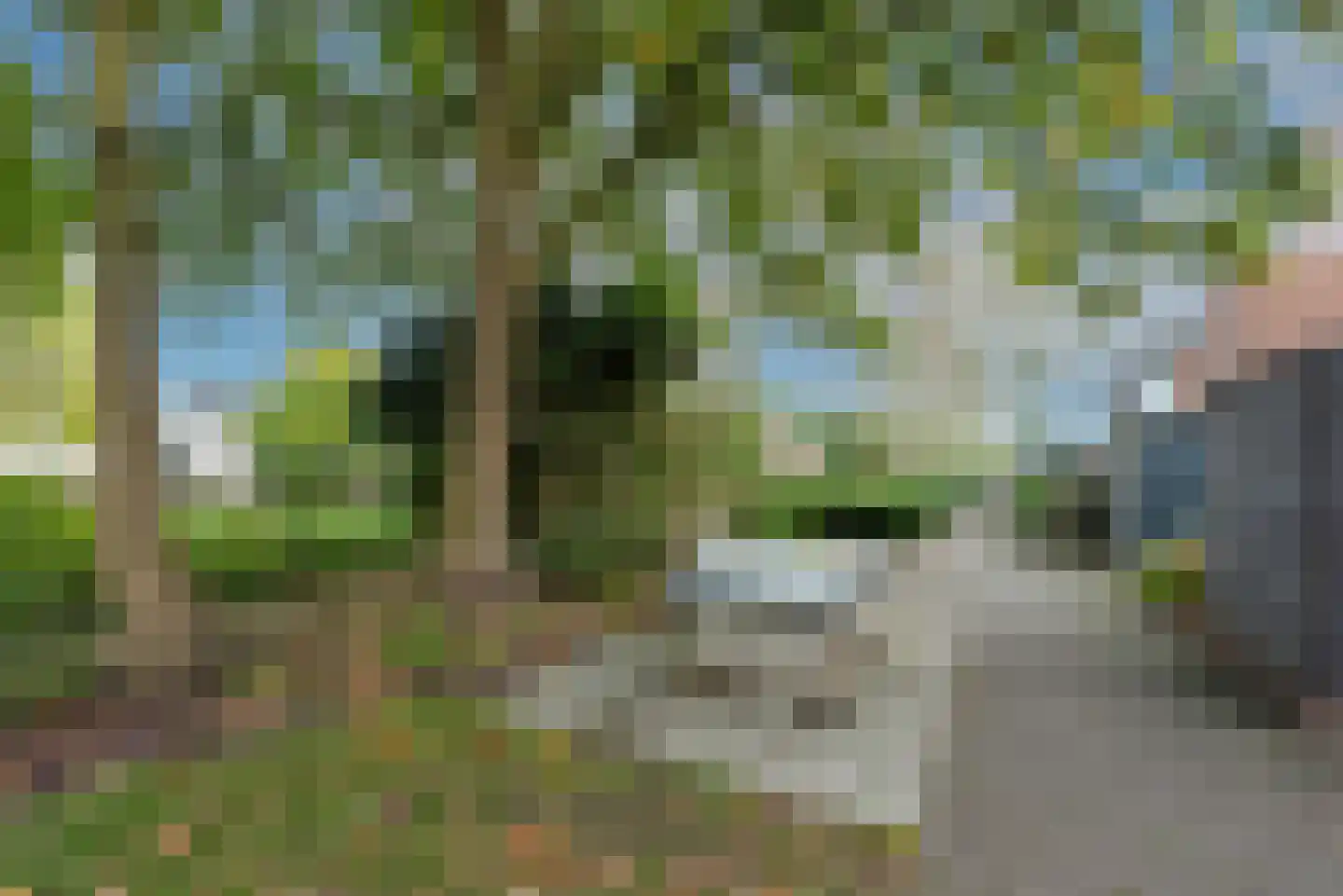 Kerkdijk 17 Achterveld thumbnail 36