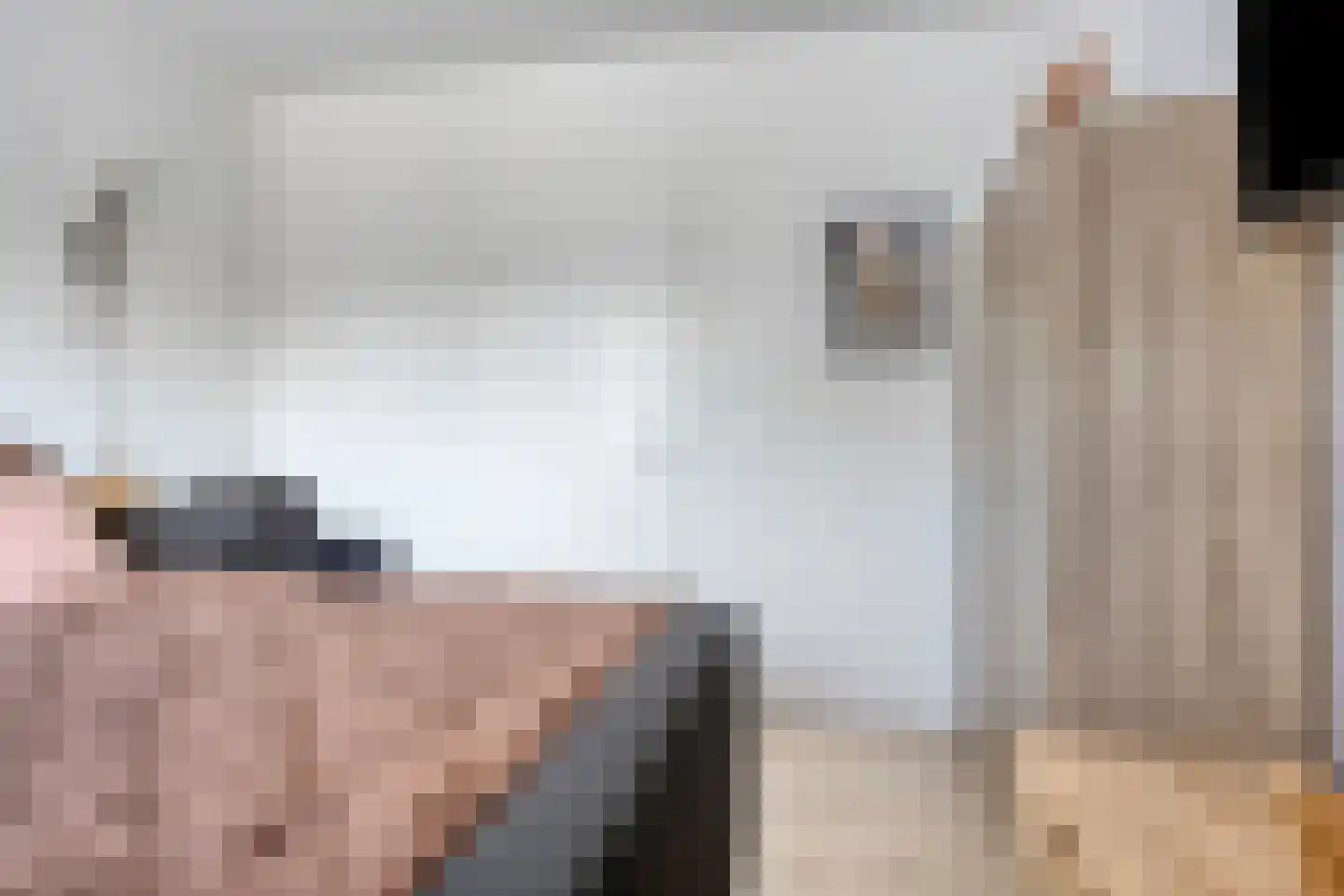 Kerkdijk 2 C Hooge Zwaluwe thumbnail 15