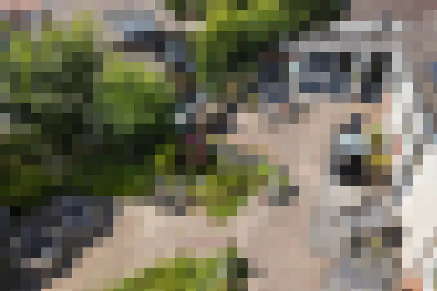 Kerkdijk 2 C Hooge Zwaluwe thumbnail 33