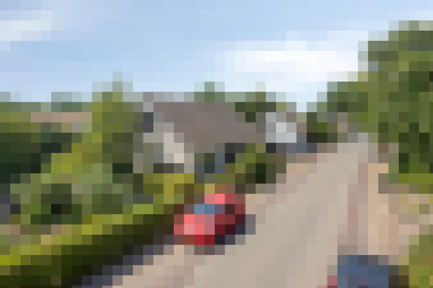 Kerkdijk 2 C Hooge Zwaluwe thumbnail 35