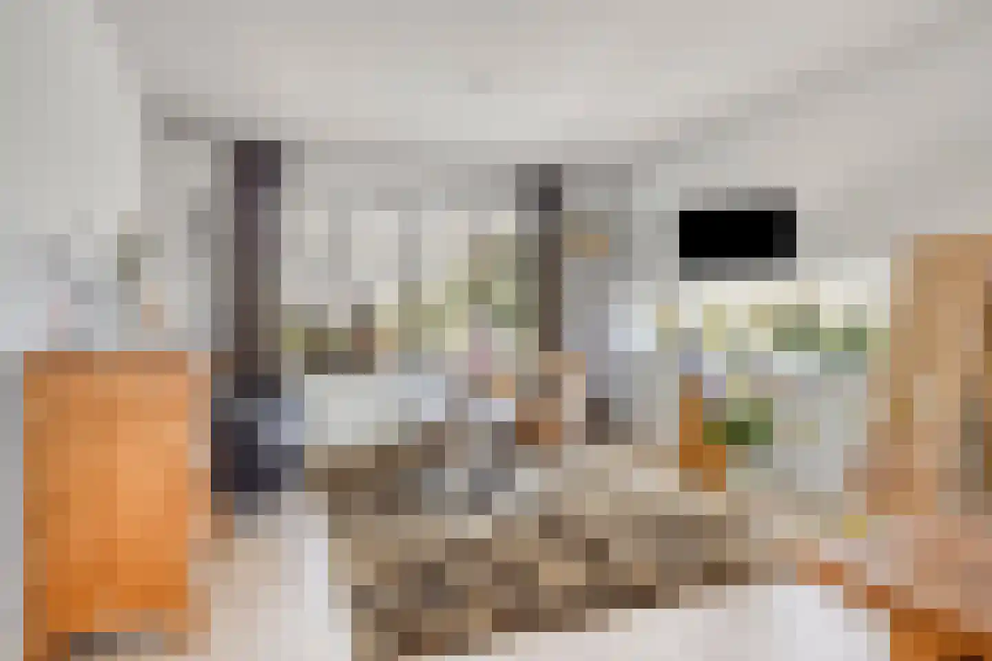 Kerkdijk 2 C Hooge Zwaluwe thumbnail 7