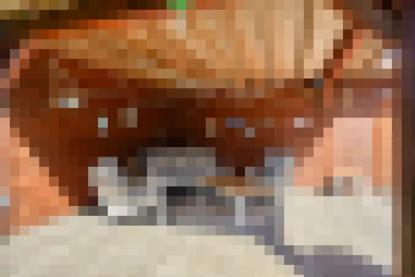 Kerkdijk 27 Ansen thumbnail 37