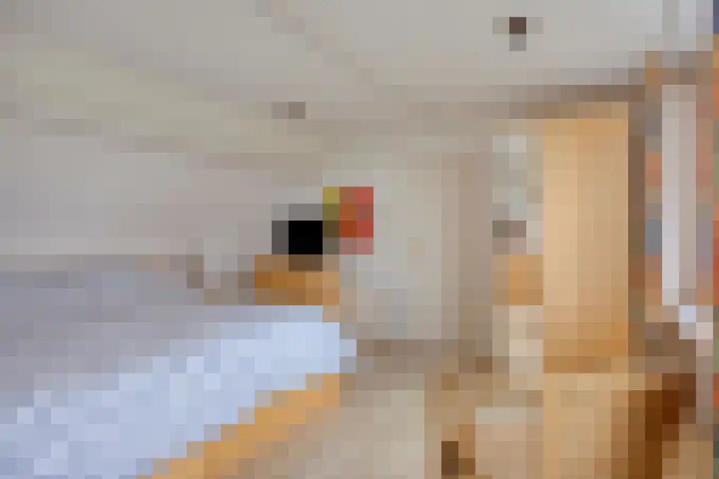 Kerkdijk 39 Hooge Zwaluwe thumbnail 21