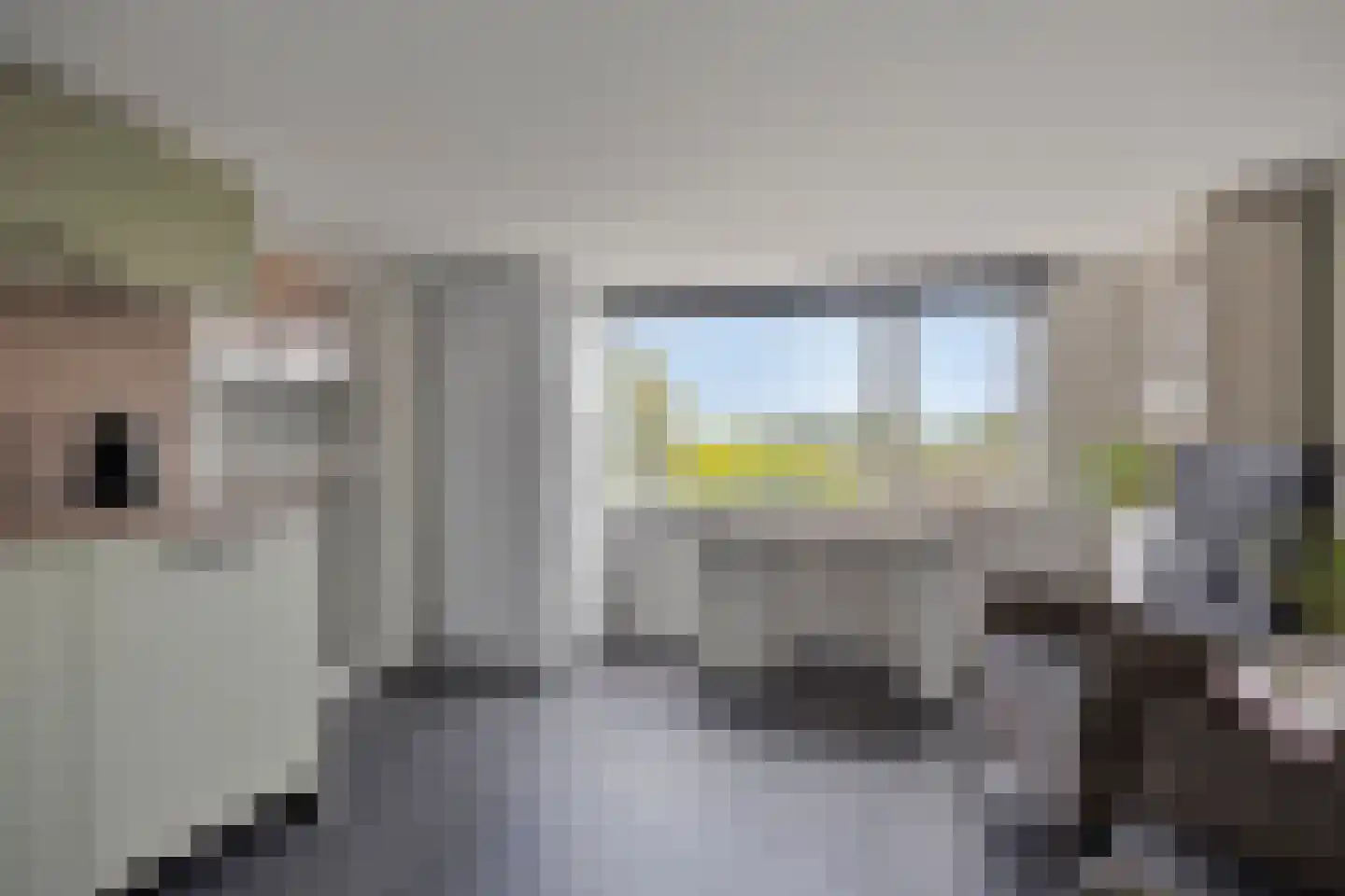 Kerkdijk 39 Hooge Zwaluwe thumbnail 27