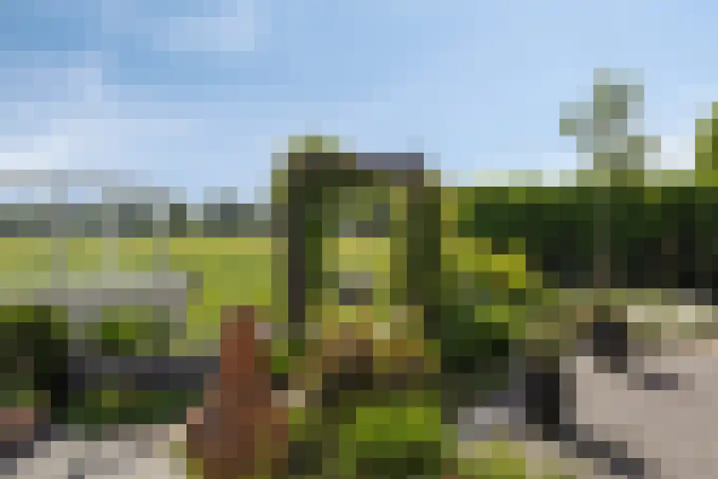 Kerkdijk 39 Hooge Zwaluwe thumbnail 33