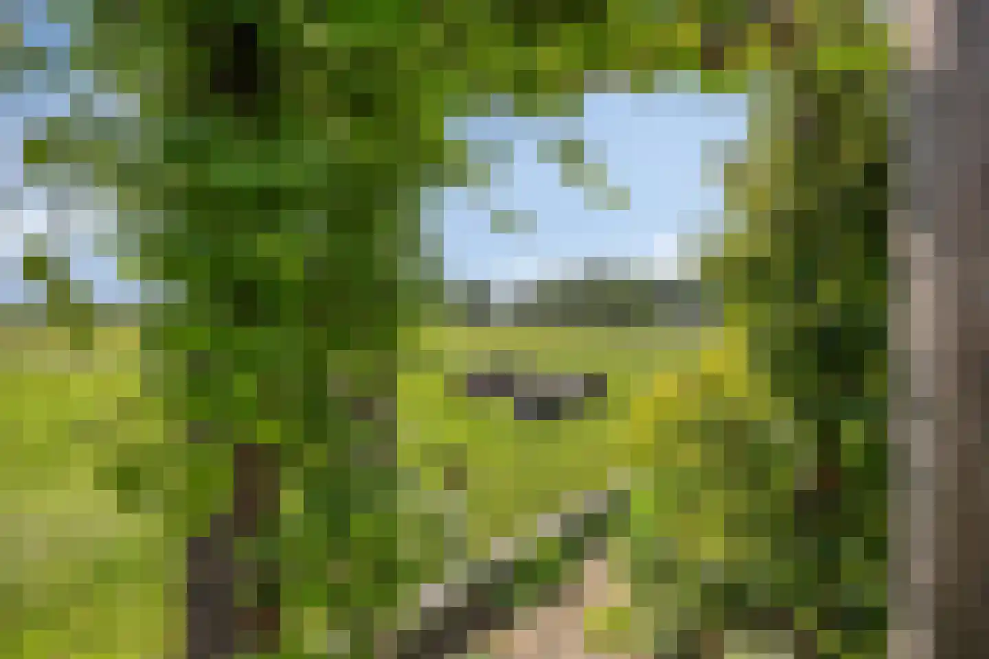 Kerkdijk 39 Hooge Zwaluwe thumbnail 34