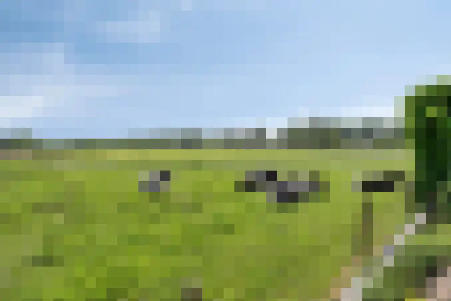 Kerkdijk 39 Hooge Zwaluwe thumbnail 35