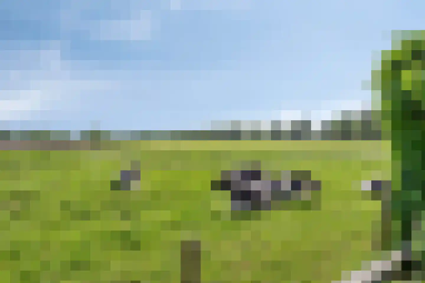 Kerkdijk 39 Hooge Zwaluwe thumbnail 36