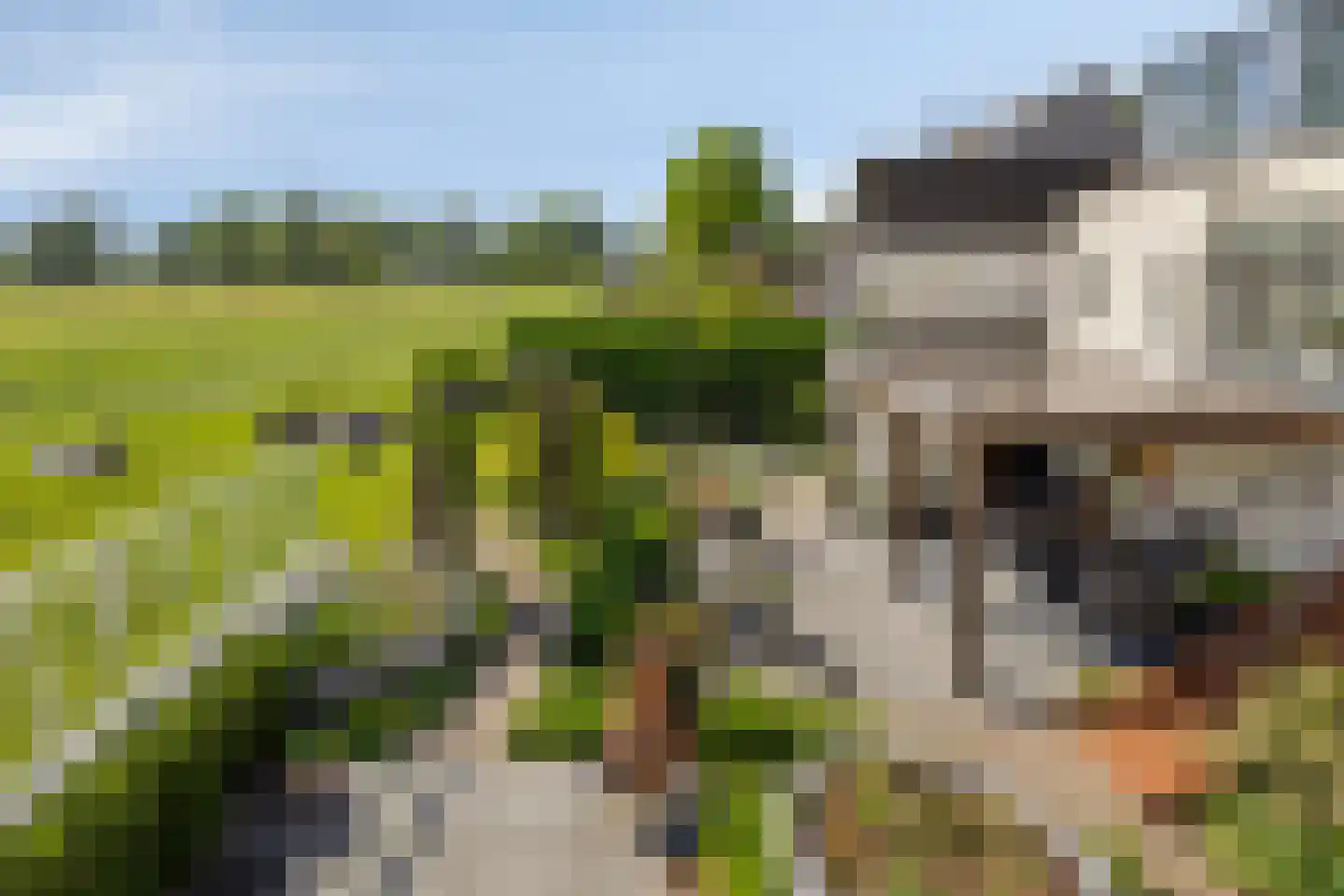 Kerkdijk 39 Hooge Zwaluwe thumbnail 47