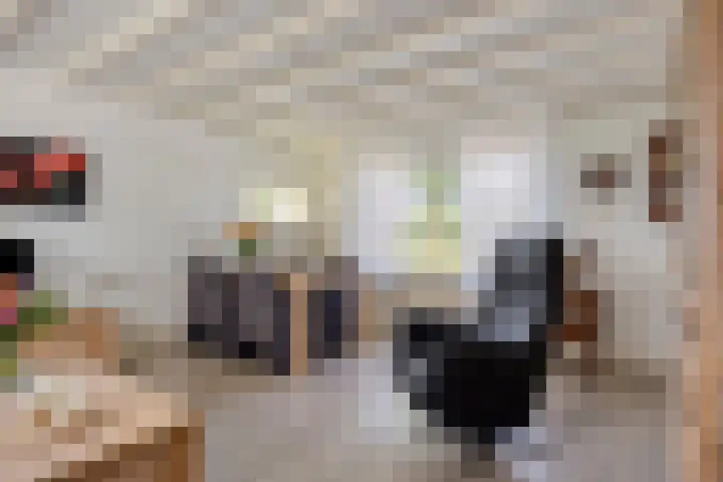 Kerkdijk 39 Hooge Zwaluwe thumbnail 9