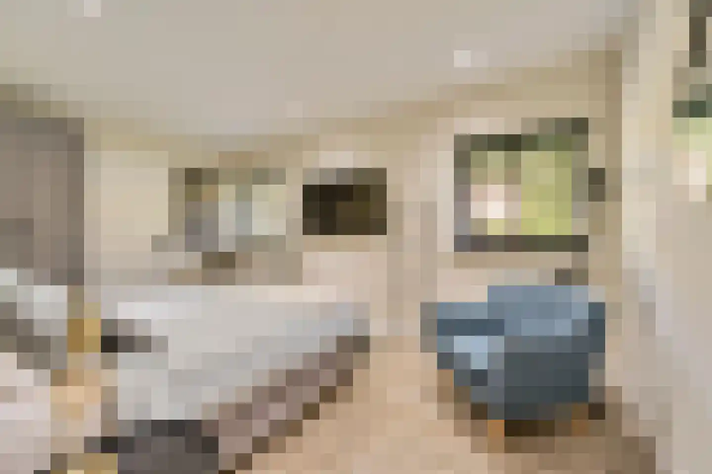Kerkdijk 4 Achterveld thumbnail 15