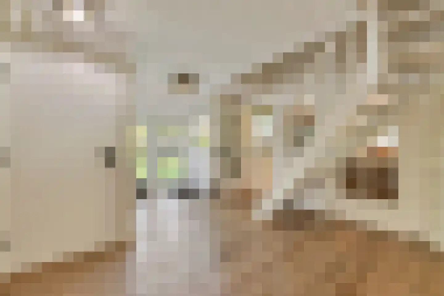 Kerkdijk 4 Achterveld thumbnail 25